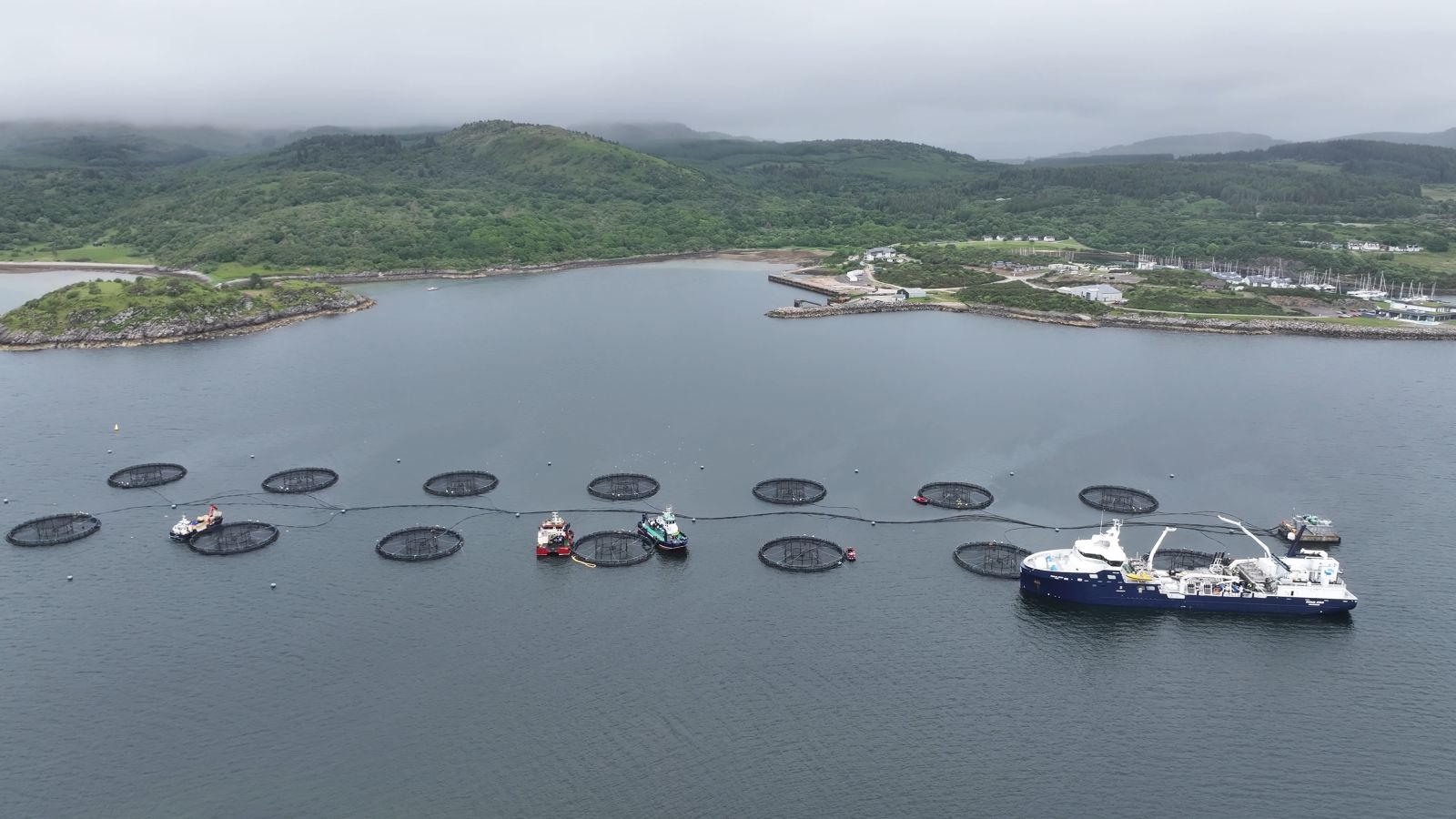 Fish Farming