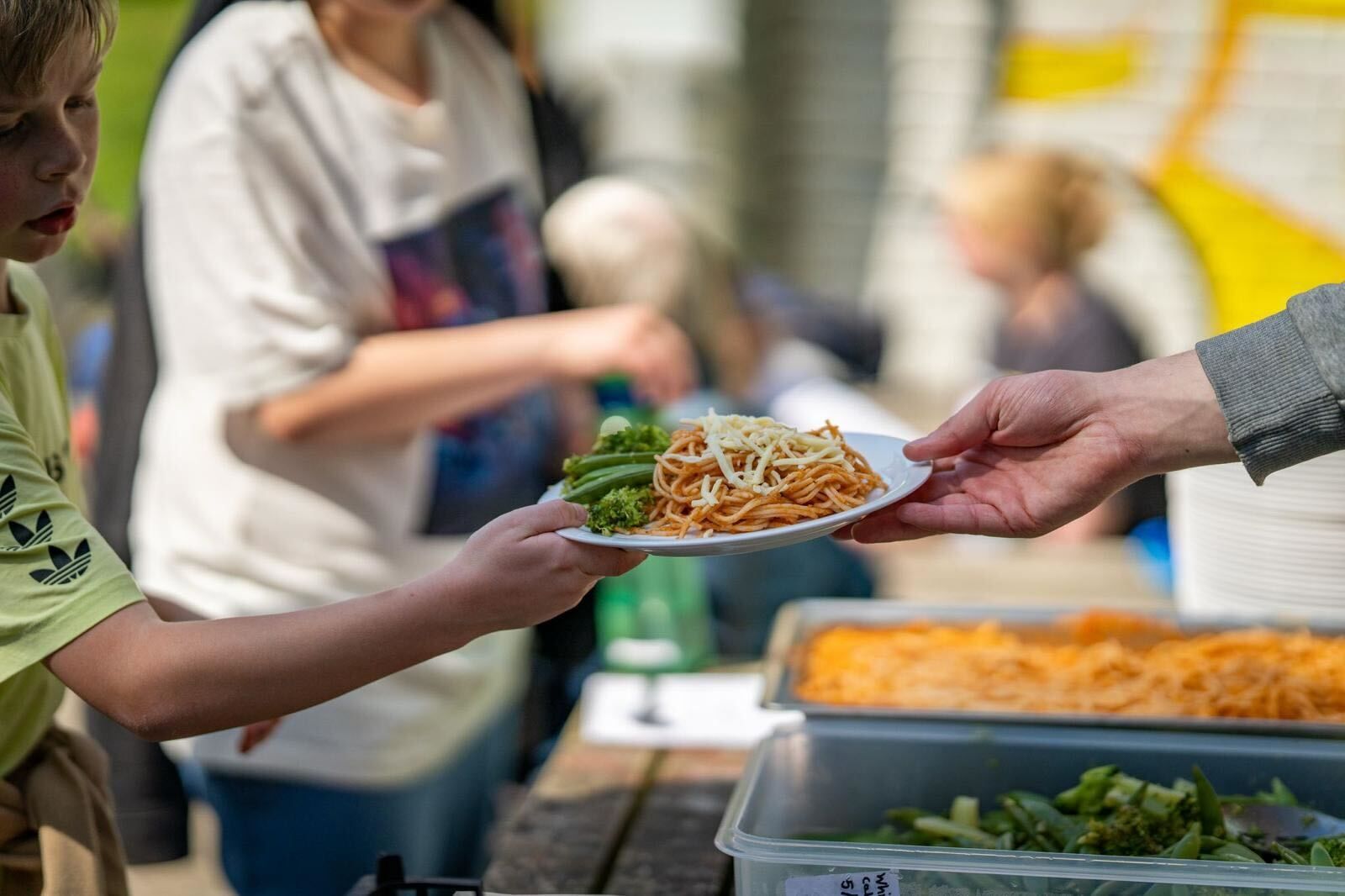 Local food economies and food environment