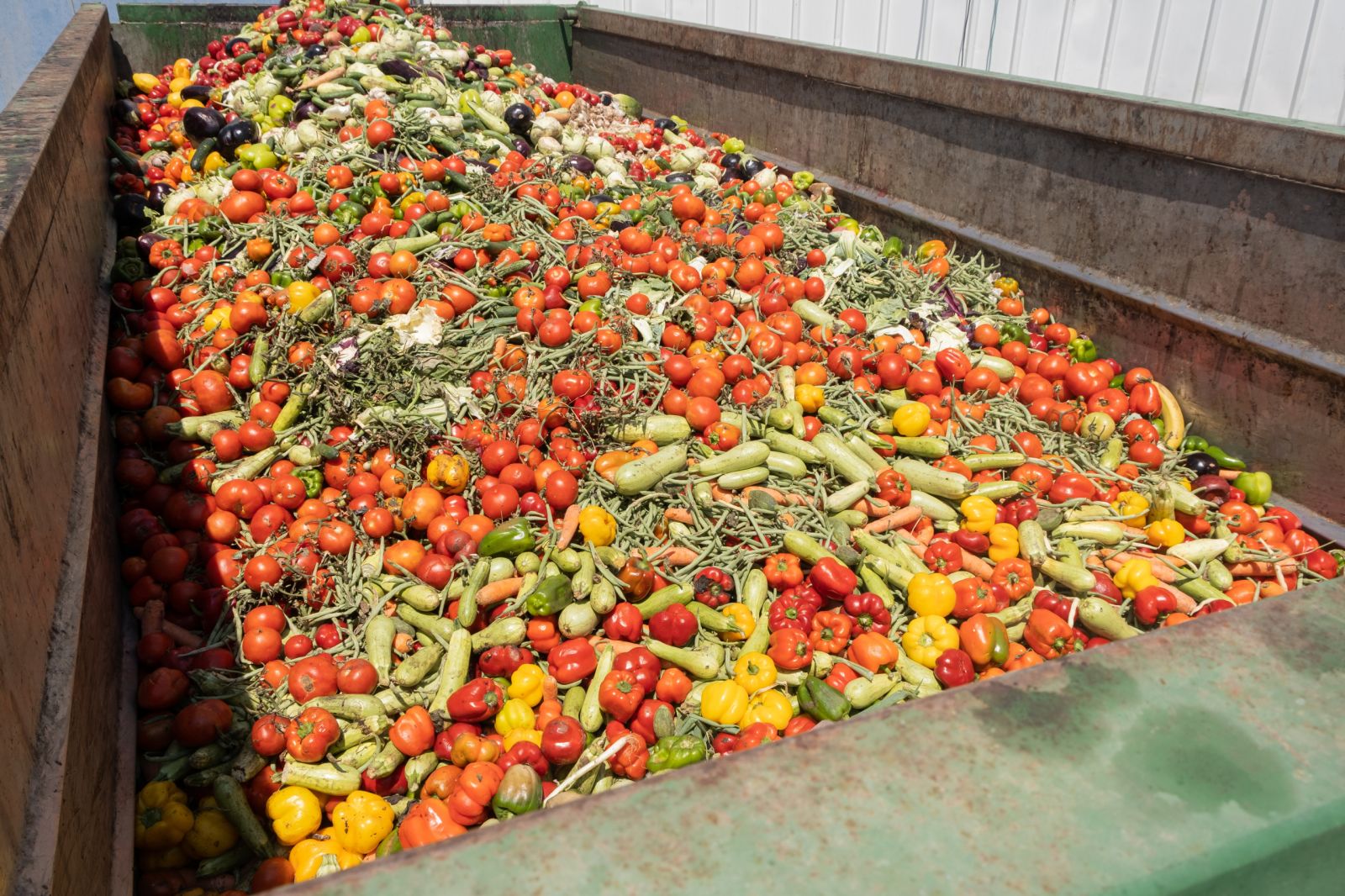 Food waste